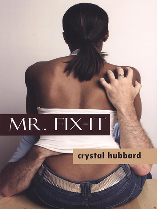 Title details for Mr. Fix-It by Crystal Hubbard - Available